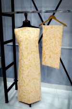 GOLDEN GLOW (2 PIECE) DEGITAL PRINT COTTON (AY-V2-255) - Image 3